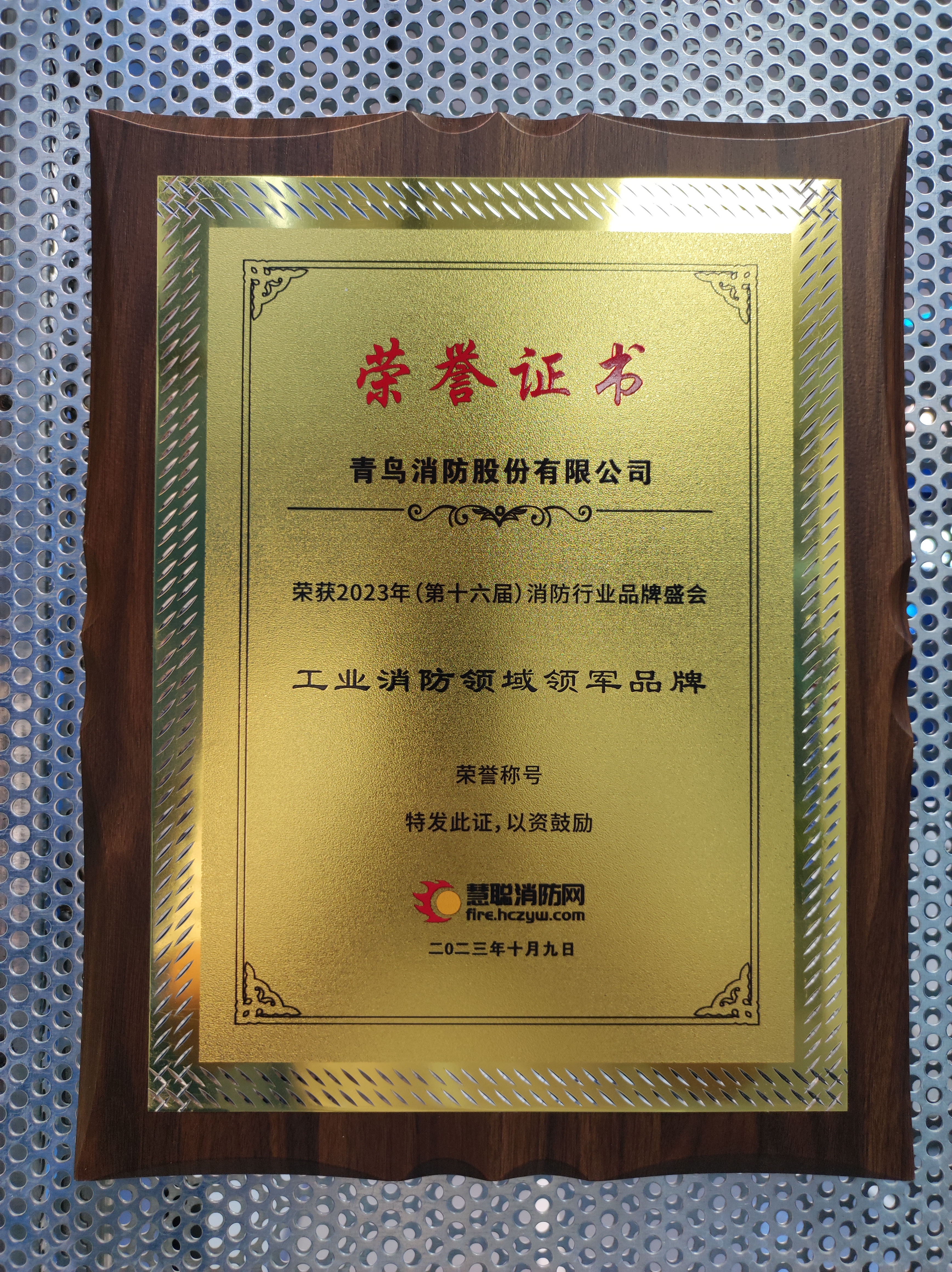 工業(yè)消防領域領軍品牌